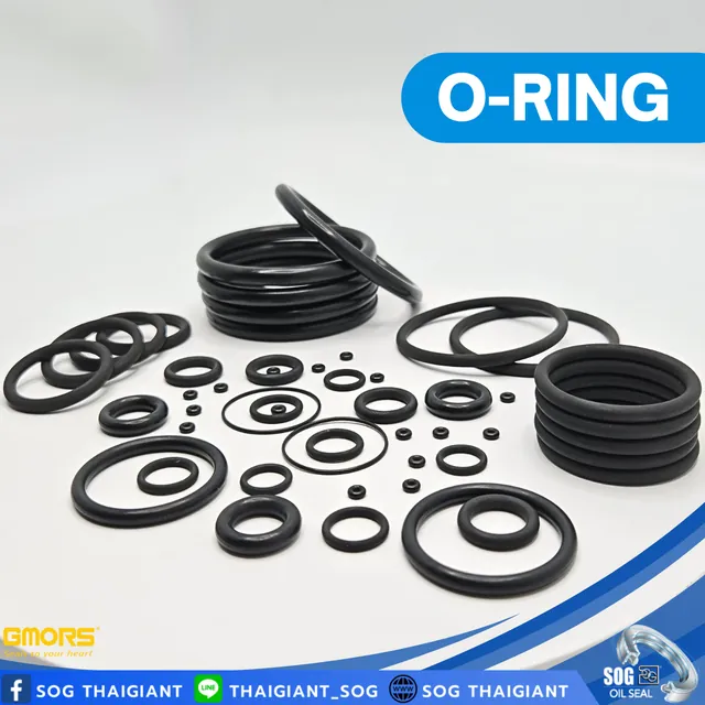 O-ring and O-ring kit