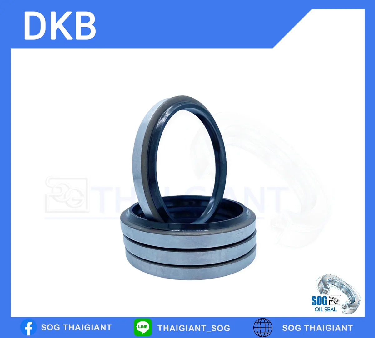 DKB - ซีลน้ำมัน
